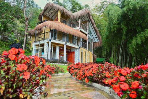 Bambu chalet