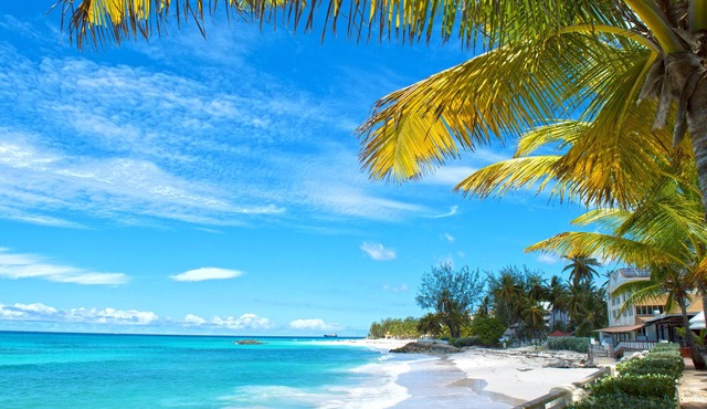 Barbados Beach Club Resort - All Inclusive