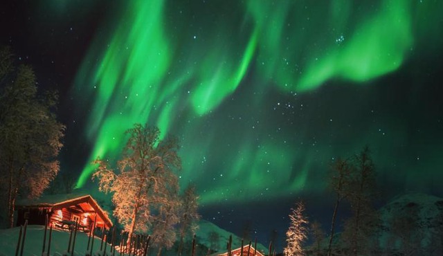 Bardu Huskylodge