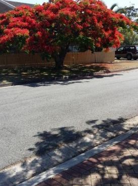 Baringa Bed & Breakfast
