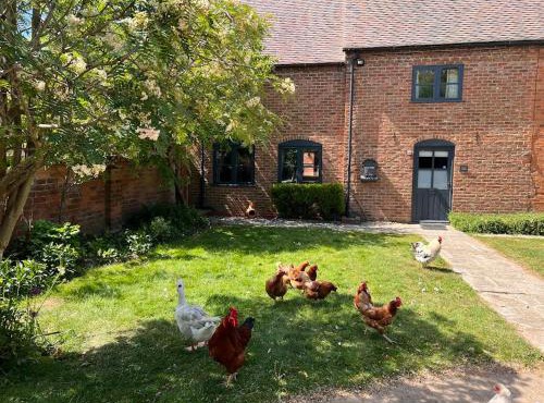 Barn Cottage