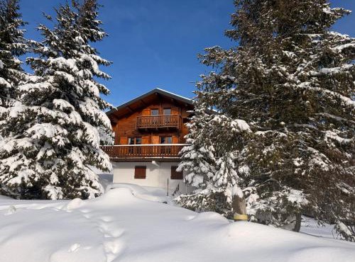 Bas de chalet station de ski la Pierre Saint Martin