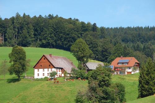 Baschijörgenhof