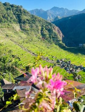 Batad Pension and Restaurant Native House