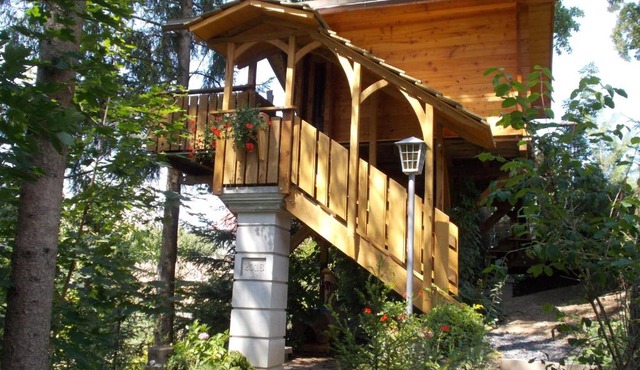 Baumhaus Wolfshöhle