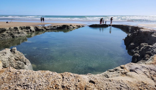 Bayly’s Beach Central