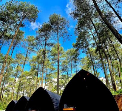 Be Glamping Lembang