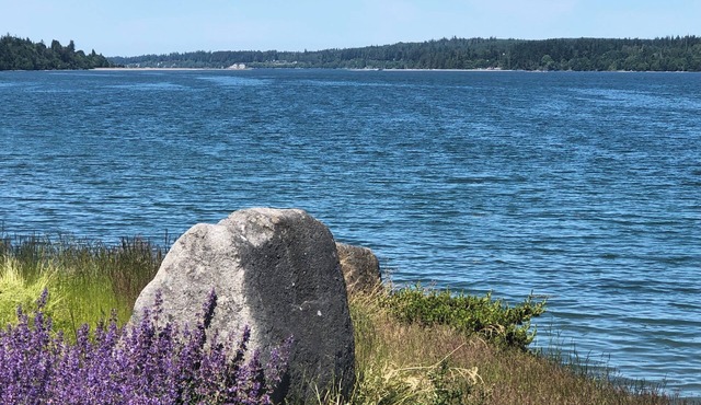 Beach Access Air Conditioned Modern Cottage At Gateway To Olympic National Park