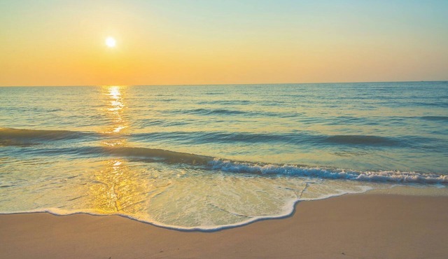 Beach Combing & Relaxation