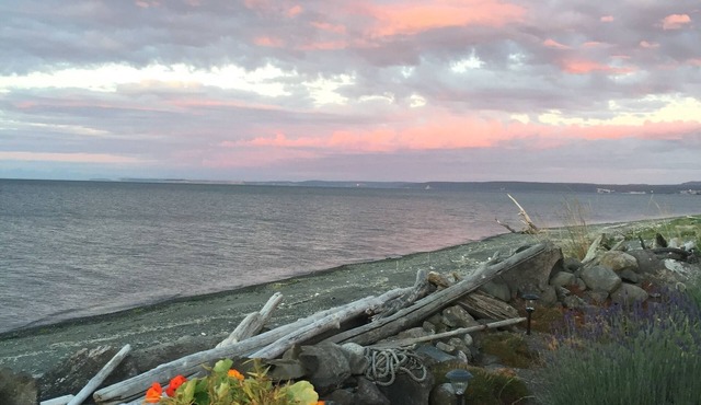 Beach Cottage Getaway-Dog Friendly!