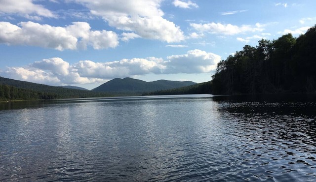Beach - Family & Pet Friendly - Adirondack Cabin