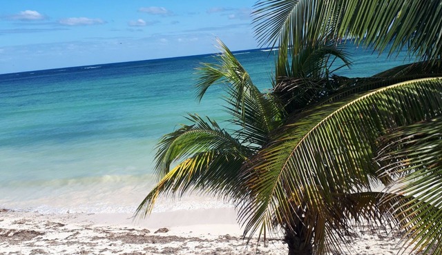 Beach front Bugalow. Off the beaten path.