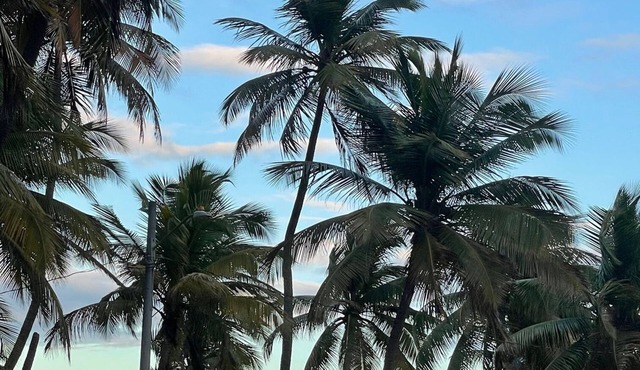 Beach front condo with amazing ocean view & beach access. Walk to plaza