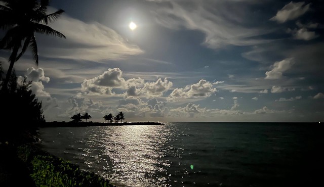Beach Front cottage on the Best beach in Grand Bahama