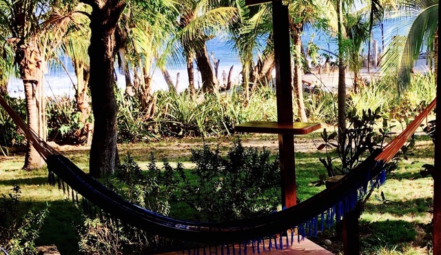Beach Front property , with pool. short walking distance from town, lush gardens