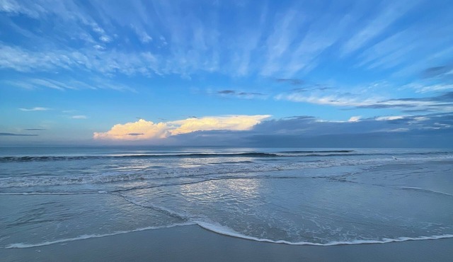 Beach Front with Incredible Views- 2/2 - NSB-on No Drive Beach