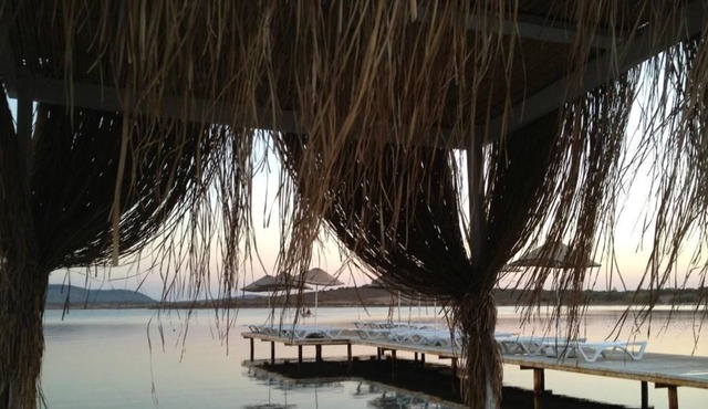 Beach House