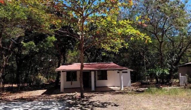 Beach house with ample land and privacy