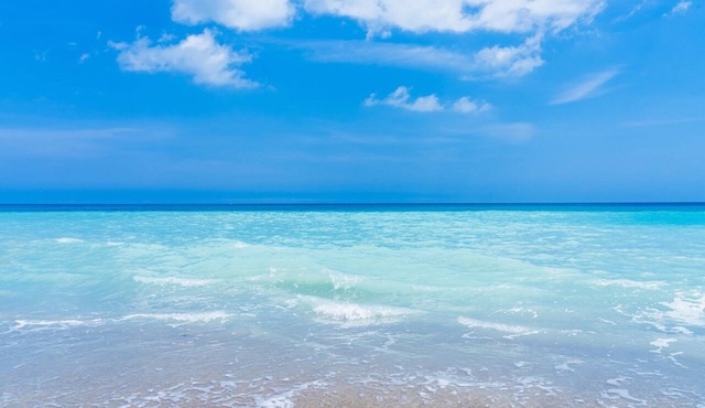 Beach Paradise! New 3/2 home, dog friendly, overlooking wildlife refuge!