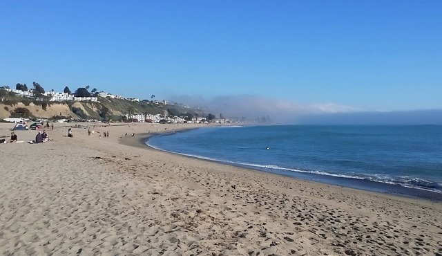 Beach Vacation! 4 Great Units! Near Golf Courses, Whale Watching