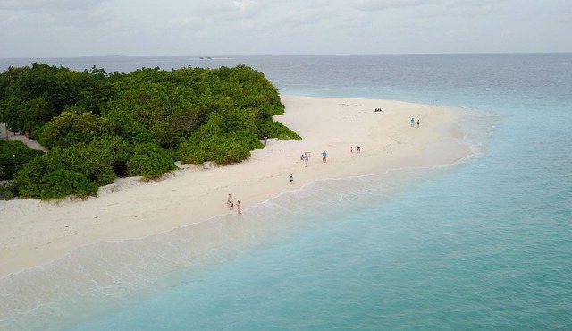 Beach Veli