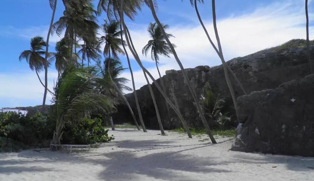 Beachcliff Bottom Bay Barbados