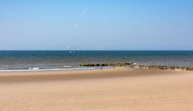 Beachcomber Seafront Pet Friendly Cottage