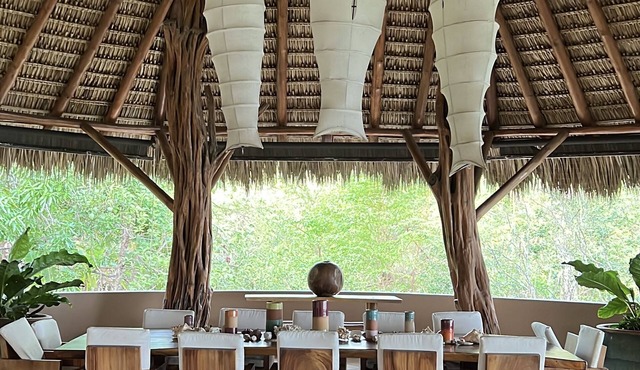 Beachfront tropical home with a jungle spirit and a sense of place.