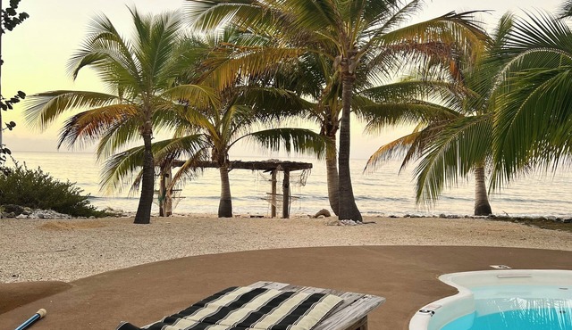 Beachfront 2-bdr 2-bath "Sunshine Aloha Suite" 100 ft from the Ocean with Pool!