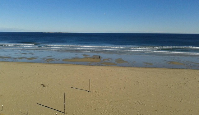 Beachfront Condo with Awesome Views