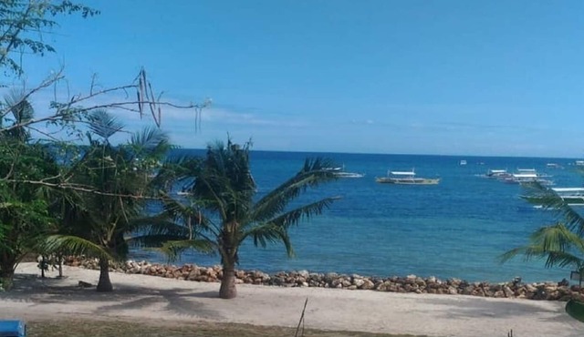 Beachfront Condo Next to Alona