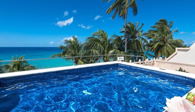 Beachfront Condo with 2 Plunge Pools - Reeds House 1