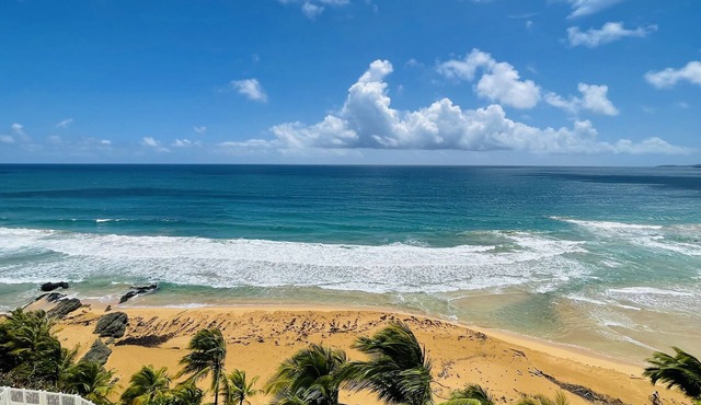 Beachfront Condo with Amaing Ocean View. walk to Beaches & Restaurants