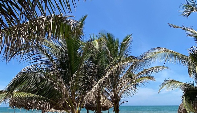 Beachfront cottage
