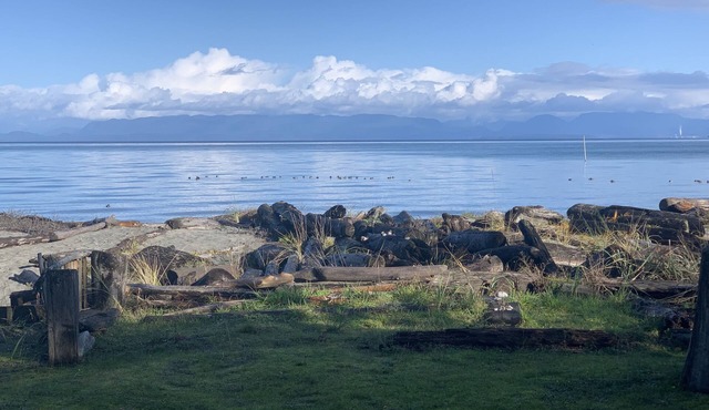 Beachfront cottage right on Kye Bay, Comoxn