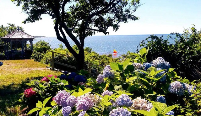 Beachfront cute cottage on Private Beach. Best View on the Cape. on high bluff