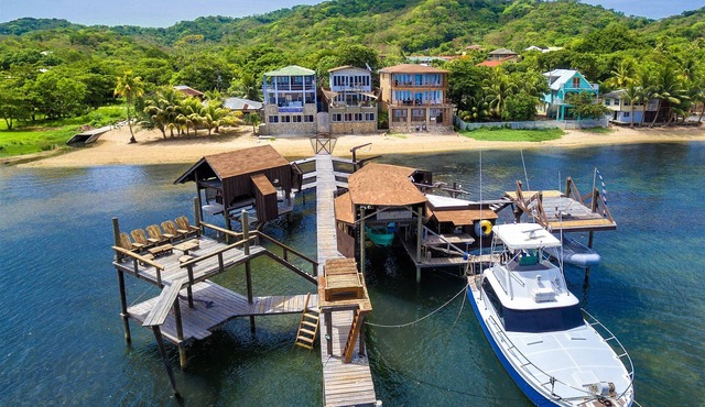 Beachfront! Diving, Snorkeling, Kayaking on site. Turtle Casa, ENTIRE VILLA!