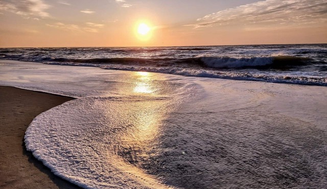 “BEACHFRONT ELM” IS CALLING ~Oceanfront~Private Beach Access~Pool~