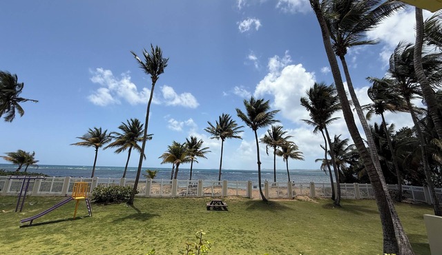Beachfront Garden Apartment with Ocean View. This unit is fully equipped.