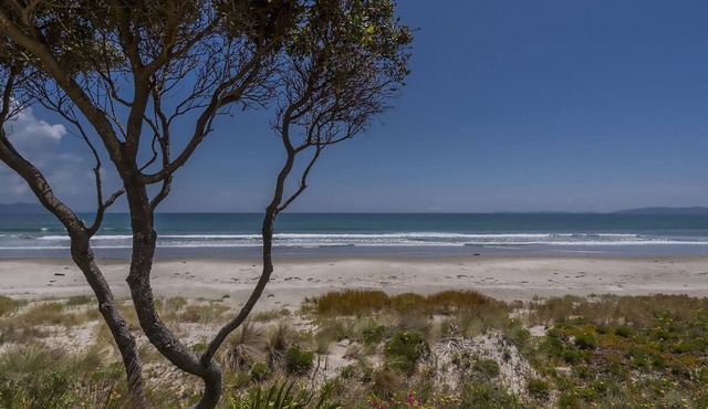 Beachfront Hideaway - Matarangi Holiday Home