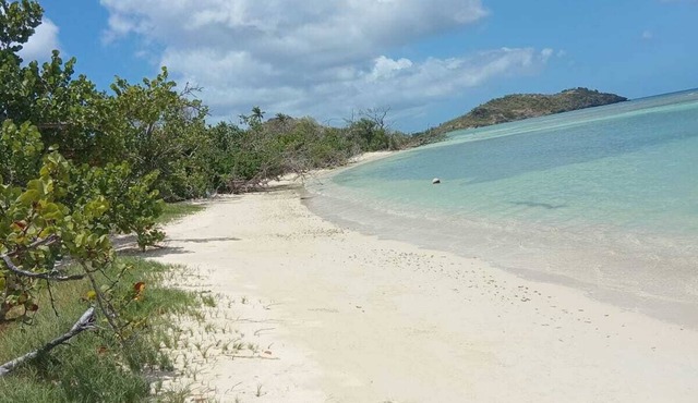 Beachfront Hideaway with Sea Breeze and Relaxed Island Stay with spacious Rooms