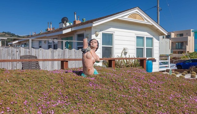Beachfront House near SF w/Parking (1)