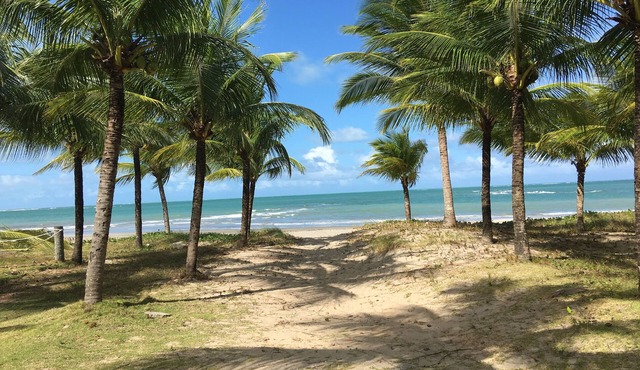 Beachfront house in Japaratinga! Close to Patacho and Milagres beaches!