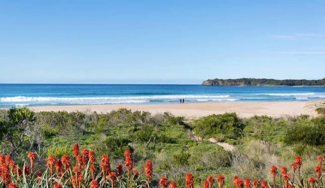 Beachfront House with direct access to the Beach. Just bring your beach towel!