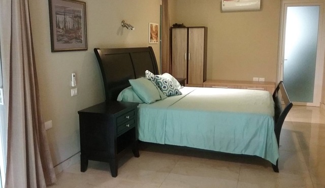 Beachfront Nature Rentals-Ocean/Pacific Beachfront Studio- 425 SQ. feet