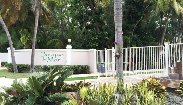 Beachfront Paradise In PR, For Adventure Seeking Travelers. Or Just To Relax
