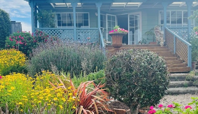 Beachfront, peaceful cosy cottage, beautiful sunrises, a relaxing escape.