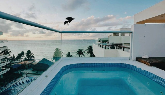 Beachfront Penthouse on the Best Beach - Playa Norte