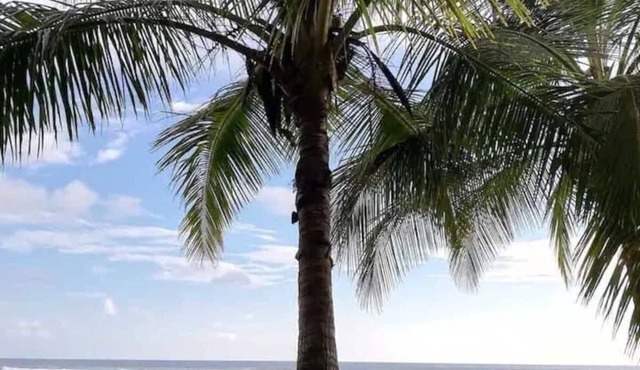 Beachfront Penthouse Condo with Amazing SunsetViews