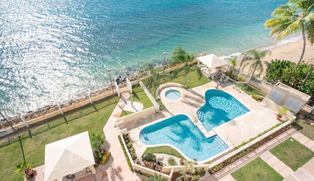 Beachfront Petite Paradise unit at Pelican Reef 103